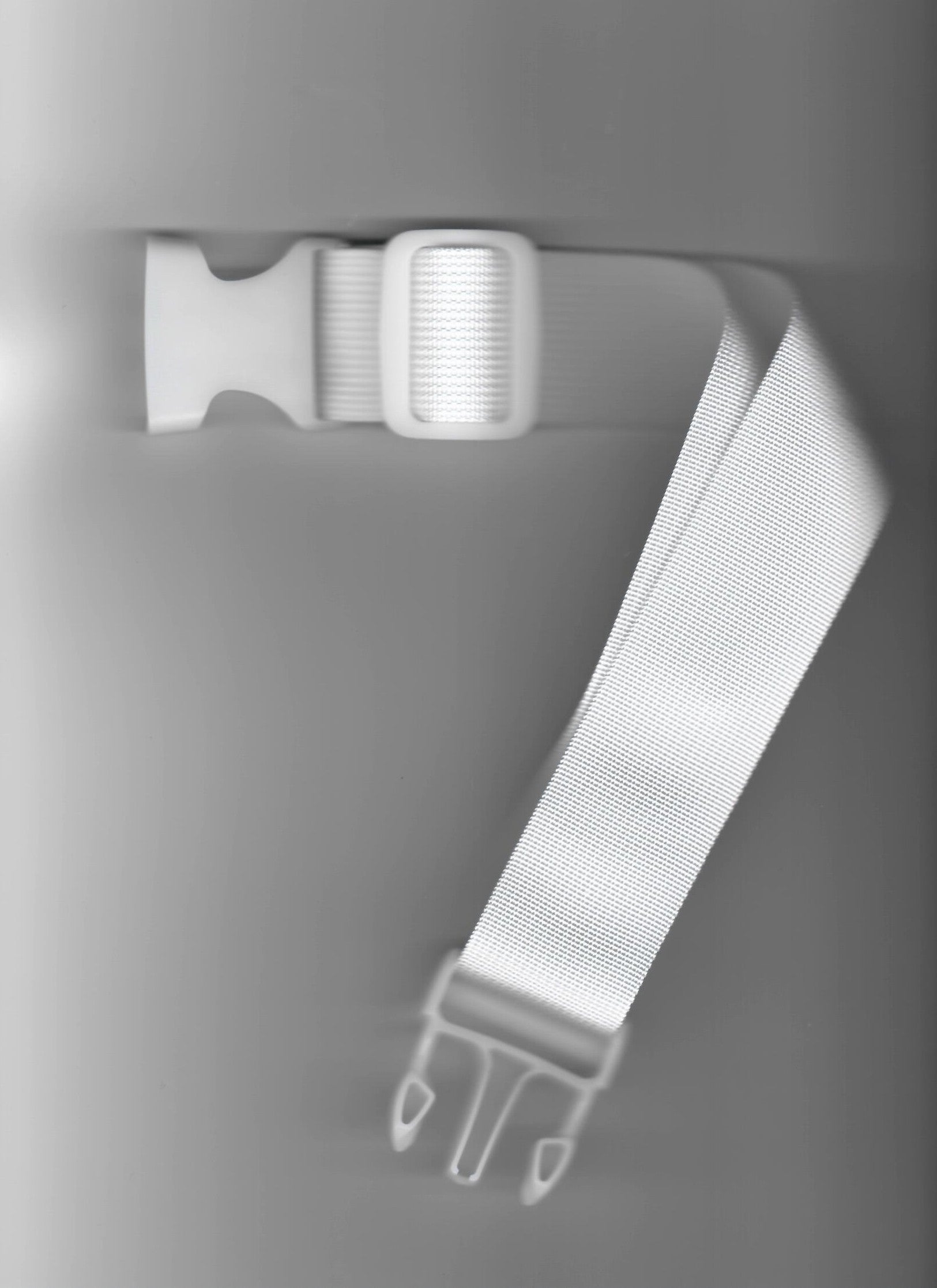LYNX BUCKLE EXTENDER